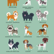 Illustration for article titled Adorable Drawings of Dog Breeds, Grouped By Their Place of Origin